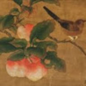 Meet your Posher, Georgia